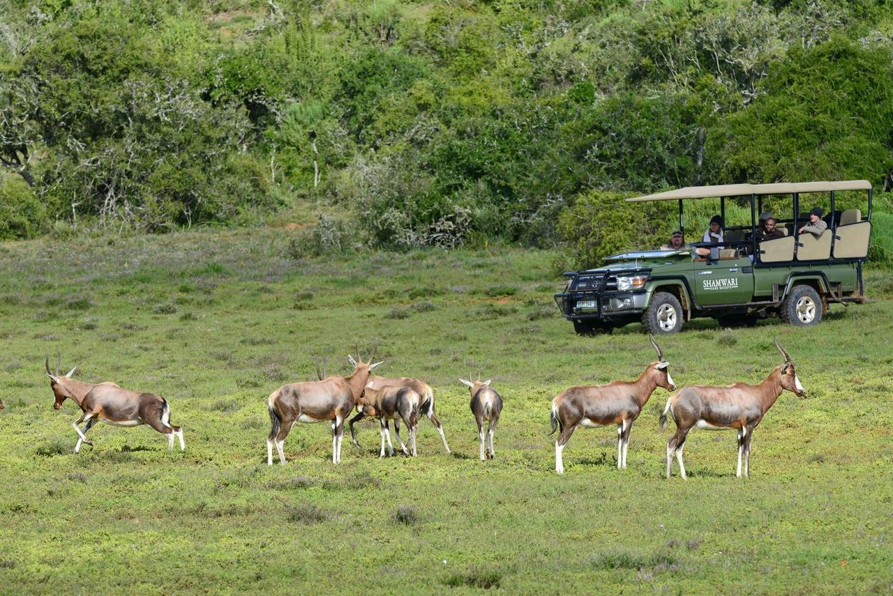 Shamwari Eagles Crag Villa Port Elizabeth Luaran gambar
