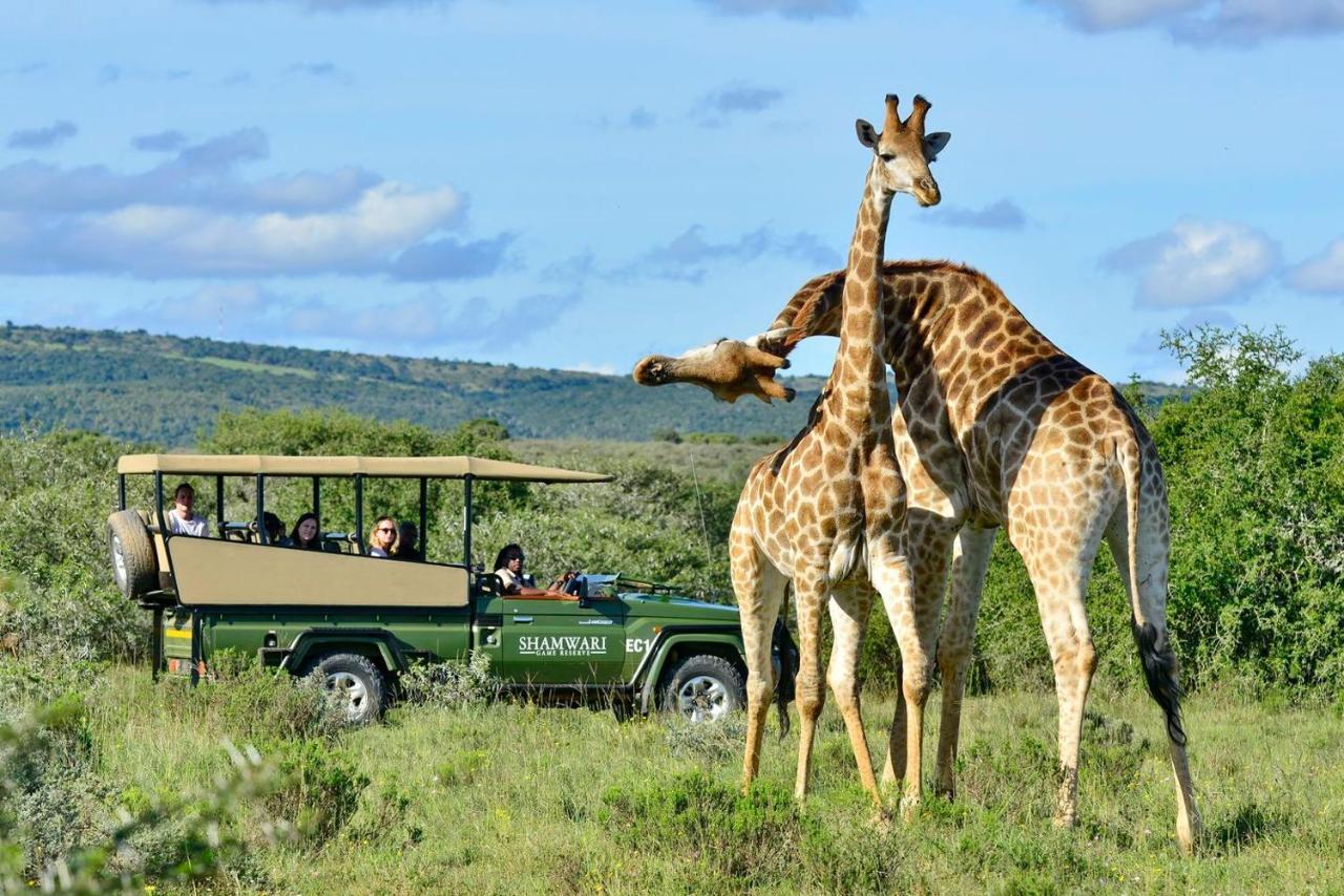 Shamwari Eagles Crag Villa Port Elizabeth Luaran gambar