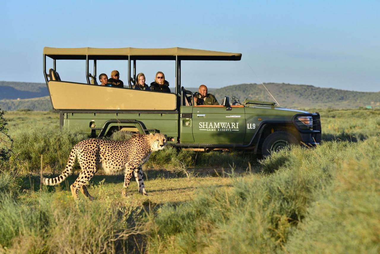 Shamwari Eagles Crag Villa Port Elizabeth Luaran gambar