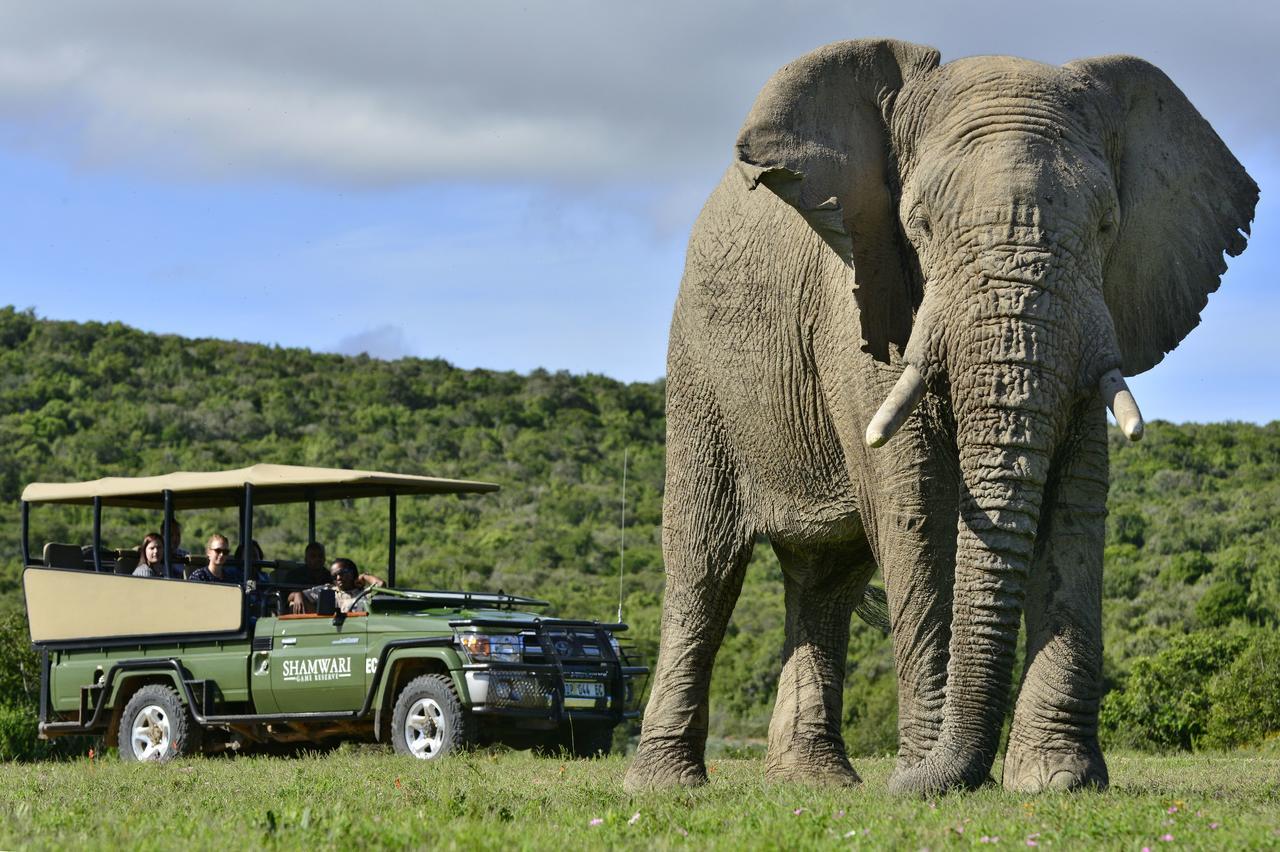Shamwari Eagles Crag Villa Port Elizabeth Luaran gambar